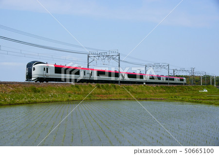 Sobu Main Line along which rice planting begins-Limited Express Narita Express- 50665100