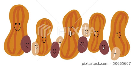 美國花生 美國花生 50665607