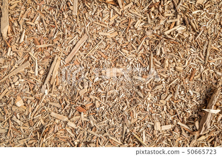 wooden and lumber sawdust 50665723
