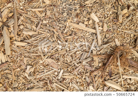 wooden and lumber sawdust 50665724