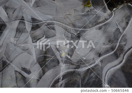 Ice Ice 50665846