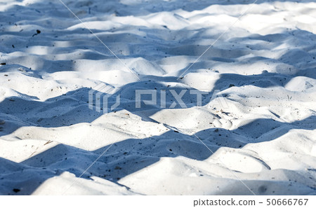 Shadows on sand 50666767