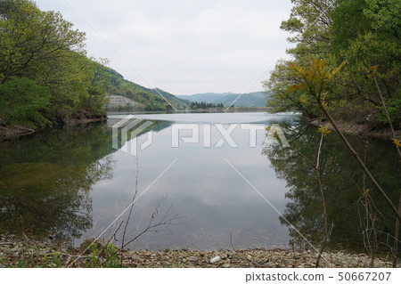 農村河流 50667207