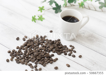 Coffee beans Coffee beans 50667355