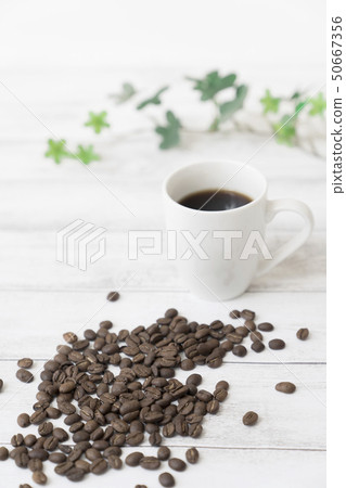 Coffee beans Coffee beans 50667356