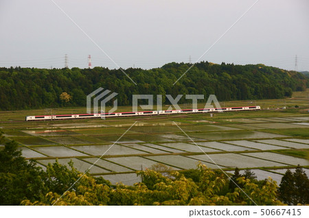 Limited express Narita Express that runs in the rice field area while setting sun on the sun Limited express Narita Express that runs in the rice field area while setting sun on the sun 50667415