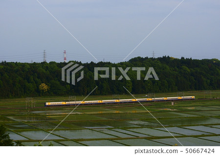 快速火車在稻田區域運行,同時讓monosaku年糕的身體在夕陽中閃耀 快速火車在稻田區域運行,同時讓monosaku年糕的身體在夕陽中閃耀 50667424