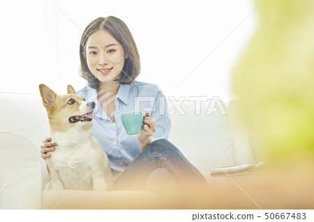 Wellness, puppies, houses, houses, young women Wellness, puppies, houses, houses, young women 50667483
