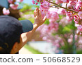 Children touching petals 50668529