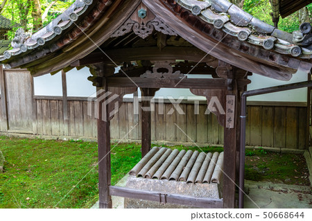 閼伽井 閼伽井 50668644