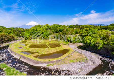 (Shizuoka Prefecture) Takenoshita Tanada and Mt. Fuji 50669378