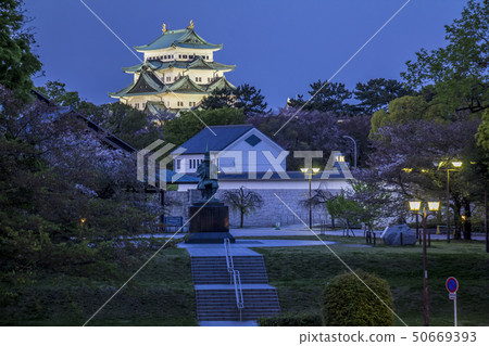 Aichi Prefecture Nagoya Castle night view Aichi Prefecture Nagoya Castle night view 50669393