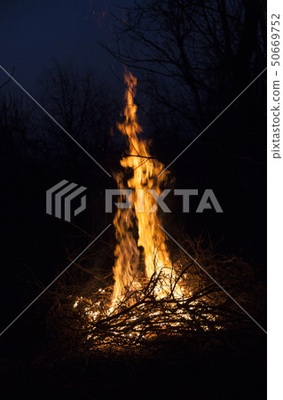Bonfire in the night 50669752