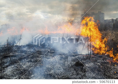 Fire in the field near the city 50670113