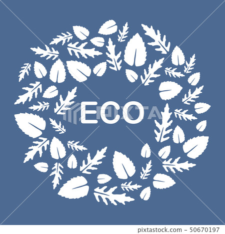 Arugula, basil leaves Eco, vegan, bio, organic Arugula, basil leaves Eco, vegan, bio, organic 50670197