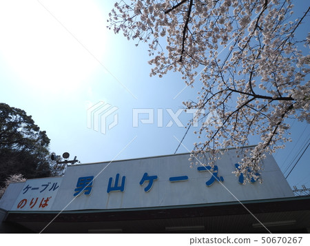 京都Oyama電纜 京都Oyama電纜 50670267