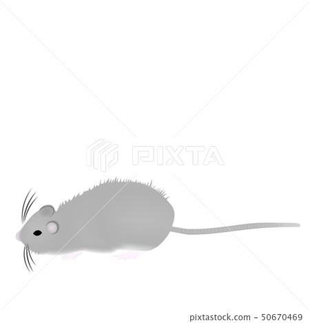 New Year's card 2020 illustration material mouse 50670469