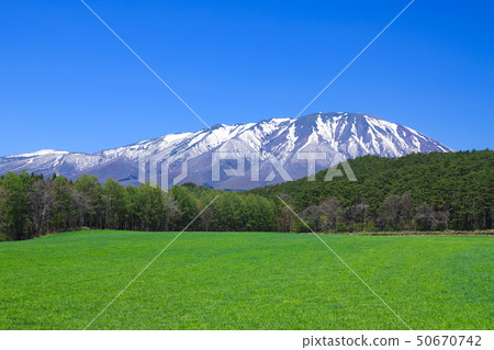 草地Koiwai農場 50670742