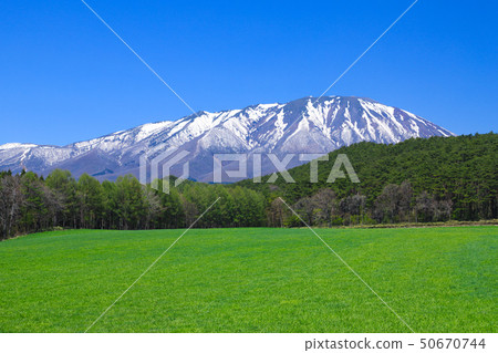 Meadow Koiwai Farm 50670744