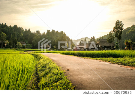 Summer rural landscape (at dusk of Ashinoshima ring village) 50670985