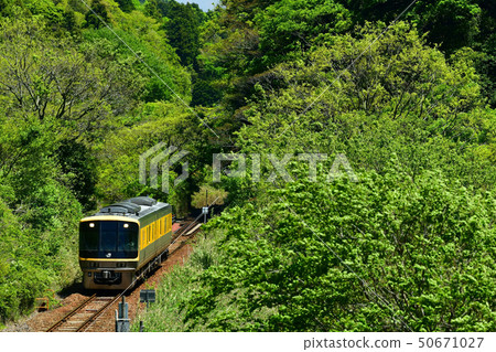 Kai 141 Kansai main line Kai 141 Kansai main line 50671027