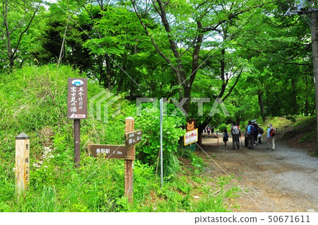 波多野市工房山公園遠足路線巴巴路新鮮的綠色和遠足者 波多野市工房山公園遠足路線巴巴路新鮮的綠色和遠足者 50671611