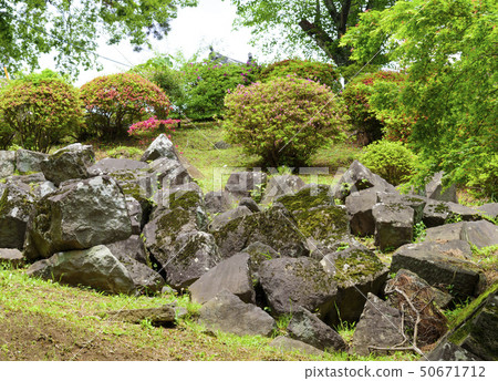 從小田原城堡本丸(神奈川縣小田原市)掉下來的石垣 從小田原城堡本丸(神奈川縣小田原市)掉下來的石垣 50671712