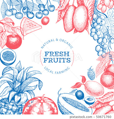 Fruits and berries design template. Hand drawn 50671760