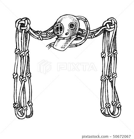 Ornament with calligraphic elements in baroque style. Medieval vintage heraldry. Flourishing 50672067