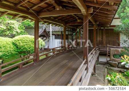 寺廟大廳 寺廟大廳 50672584