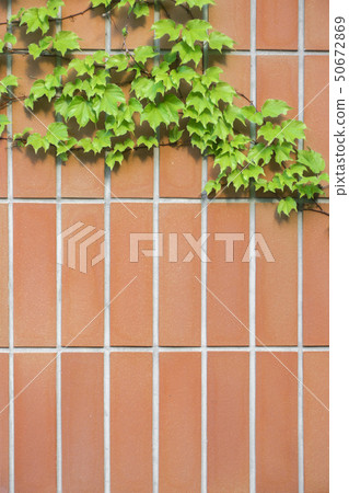 Background material texture of tiles and tiles Background material texture of tiles and tiles 50672869