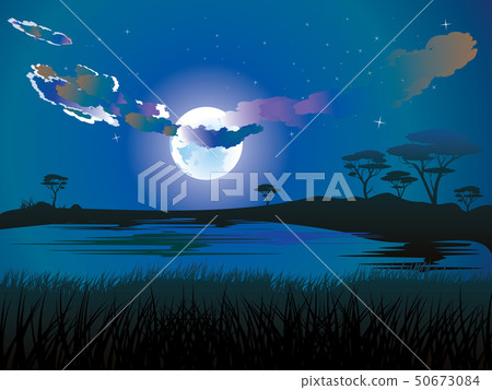 African Night Landscape 50673084