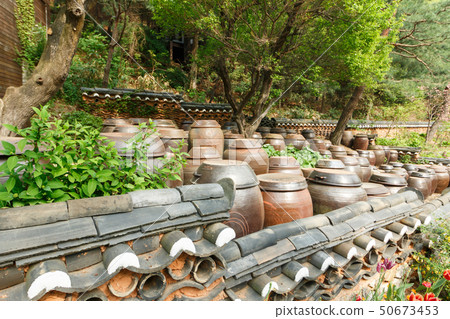 Enchanted landscape full of pots 50673453