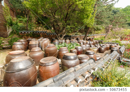 Enchanted landscape full of pots 50673455