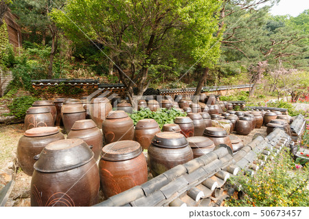 Enchanted landscape full of pots 50673457