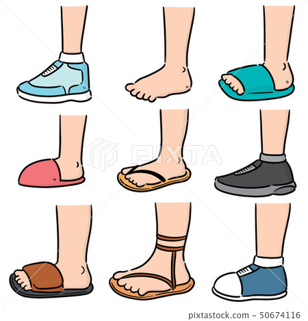 vector set of cartoon leg vector set of cartoon leg 50674116