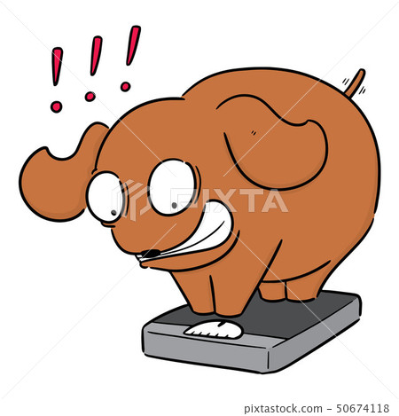 vector of dog on weighing machine vector of dog on weighing machine 50674118
