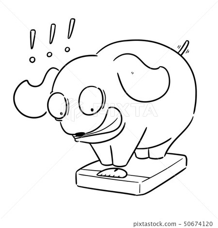 vector of dog on weighing machine vector of dog on weighing machine 50674120