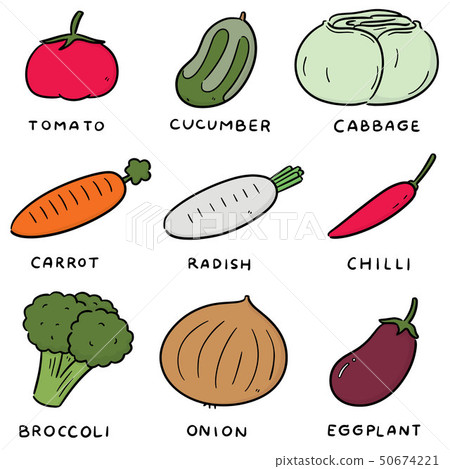 vector set of vegetable 50674221