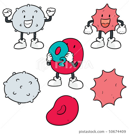 vector set of blood cells 50674409