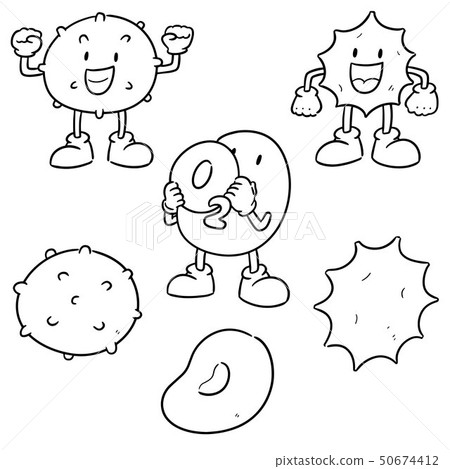 vector set of blood cells 50674412