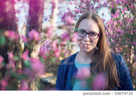 Blooming maralnik rhododendron in Altai mountains 50674710