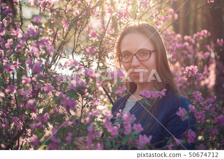 Blooming maralnik rhododendron in Altai mountains 50674712