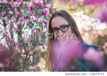 Blooming maralnik rhododendron in Altai mountains 50674713
