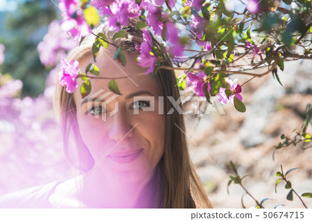 Blooming maralnik rhododendron in Altai mountains 50674715