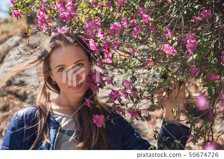 Blooming maralnik rhododendron in Altai mountains 50674726