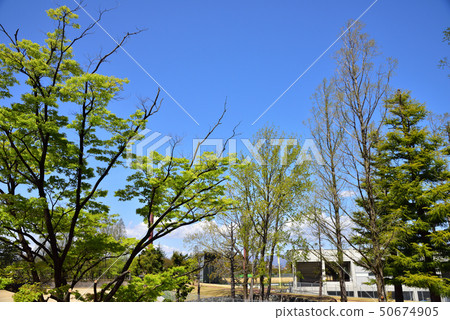 Opened Yamano Station Opened Yamano Station 50674905