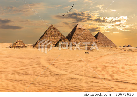 Sunset over the Pyramids of Giza, Egypt Sunset over the Pyramids of Giza, Egypt 50675639