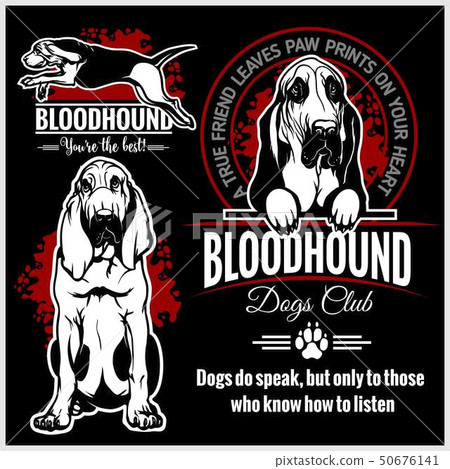 bloodhound shirt