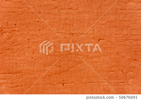 Wonderful background of a textural tree with holes 50676891